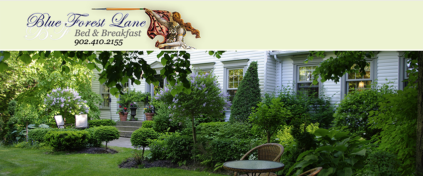 Blue Forest Lane Bed and Breakfast Blue Forest Lane Bed and Breakfast